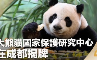 台安短视频制作套餐 台安推出组合套餐 保护“耕地中的大熊猫”