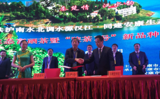 湖北孝康科技，湖北孝康科技招聘信息