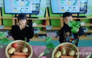 幼儿园蔬菜短视频制作 知识小竞答 制作“创意蔬菜画” 幼儿园小朋友感受生物多样性之美